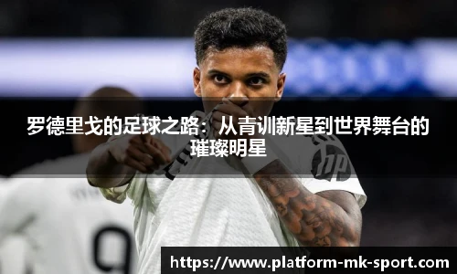 MK体育平台