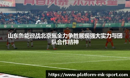 MK体育平台