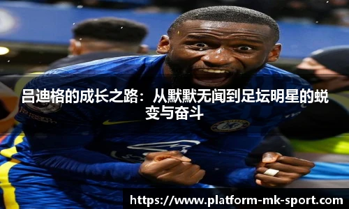 MK体育平台