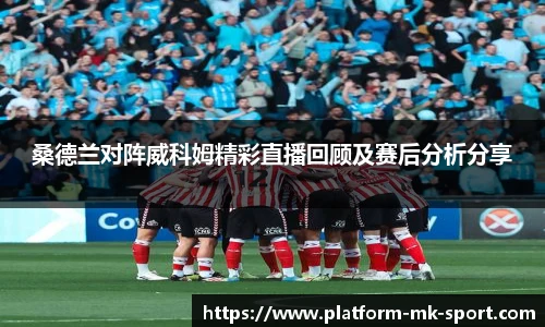 MK体育APP